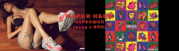 прущие грибы Михайловск