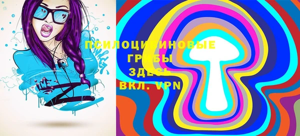шишки Вязьма