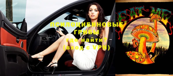 шишки Вязьма