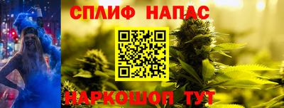 гидра Балахна