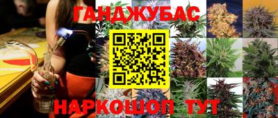 PSILOCYBIN Балахна