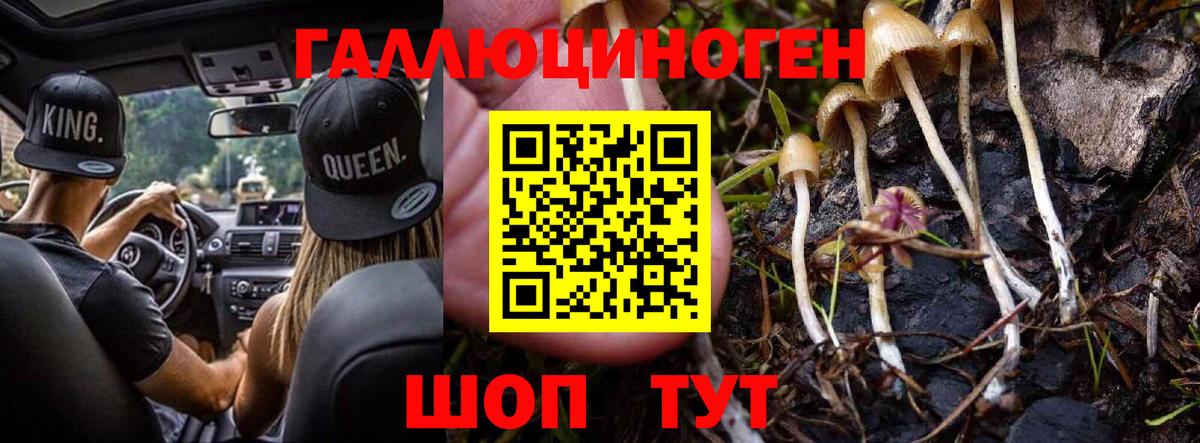 БУТИРАТ Дзержинский